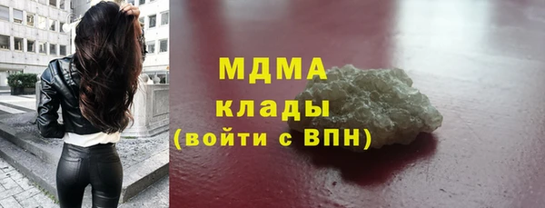 стаф Алексин