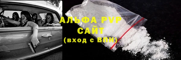 стаф Алексин