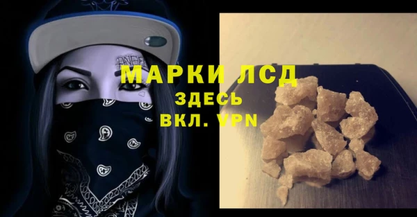 стаф Алексин