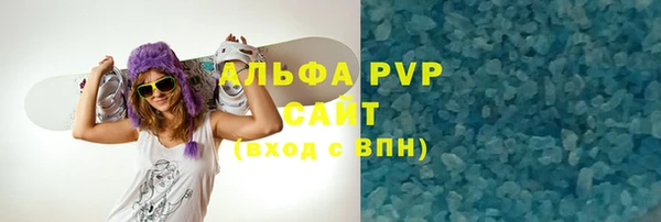 стаф Алексин